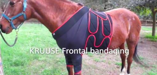 KRUUSE | Equine frontal bandaging