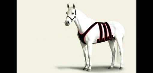 KRUUSE | POSTOPERATIVE