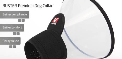 KRUUSE | BUSTER Premium Dog Collar