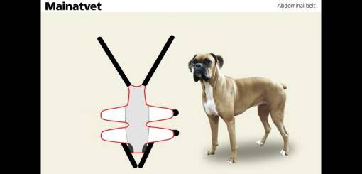 KRUUSE | Abdominal Dog Bandaging
