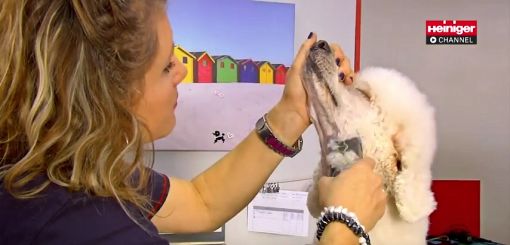 SaphirStyle SaphirCord by Heiniger