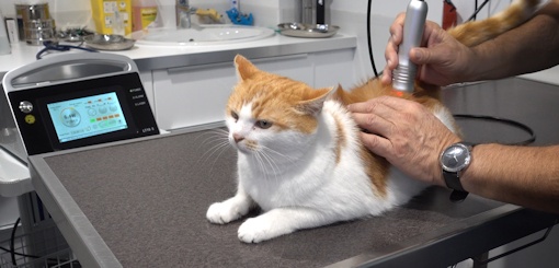 Laser de Terapia LT 10