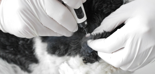 CRYOPEN B+- Aplicações e tratamentos