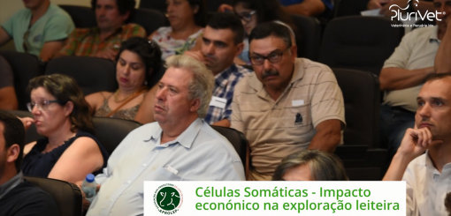 Seminários Plurivet | FNA17 – “Células Somáticas - Impacto económico na exploração leiteira”